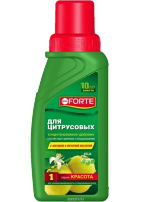 Бона Форте Красота для Цитрусовых (саженцы и деревья) 3