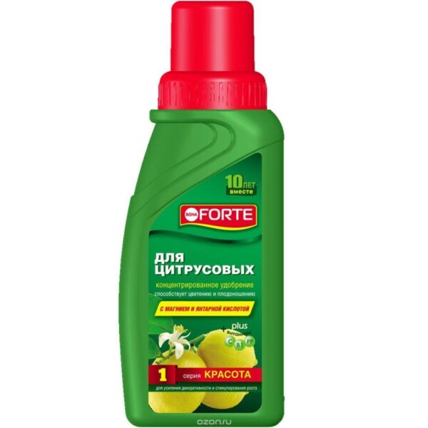 Бона Форте Красота для Цитрусовых (саженцы и деревья) 6
