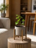 Клементин Амоа 8 18